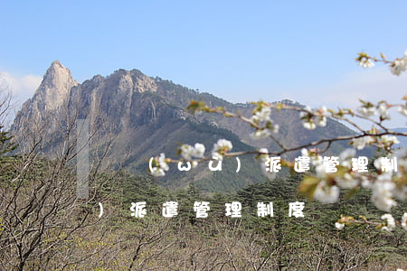 勞務(wù)派遣管理制度(最新勞務(wù)派遣管理制度)