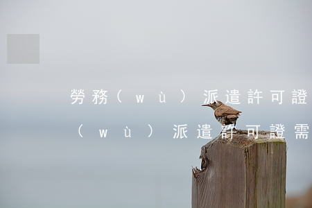 勞務(wù)派遣許可證需要什么條件（勞務(wù)派遣許可證需要什么材料）