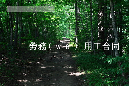 勞務(wù)用工合同