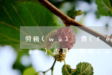 勞務(wù)稅費(fèi)逾期申報(bào)處罰-勞務(wù)費(fèi)沒報(bào)稅后果