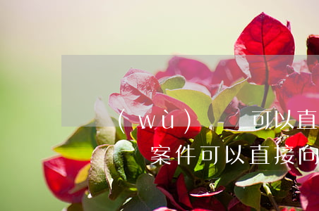 勞務(wù)糾紛可以直接起訴到法院嗎(勞動爭議案件可以直接向法院起訴嗎)