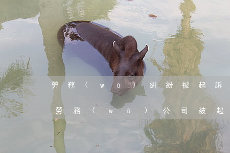 勞務(wù)糾紛被起訴怎么辦有什么影響(勞務(wù)公司被起訴會有什么后果)