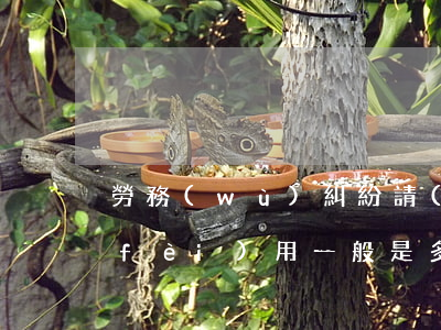 勞務(wù)糾紛請(qǐng)律師費(fèi)用一般是多少錢(勞動(dòng)合同糾紛律師咨詢需要多少錢)