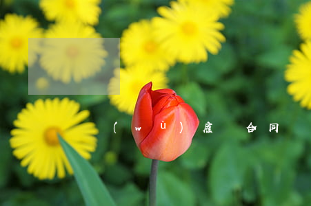 勞務(wù)雇傭合同
