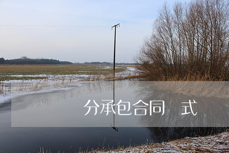 勞務分承包合同樣式
