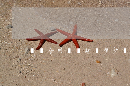 勞務合同糾紛起訴多少錢