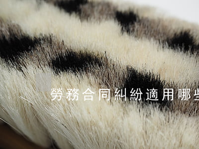 勞務合同糾紛適用哪些法律