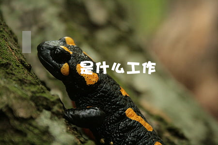 勞務是什么工作
