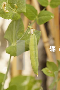 勞務派遣公司簡介(仕成勞務派遣公司簡介)