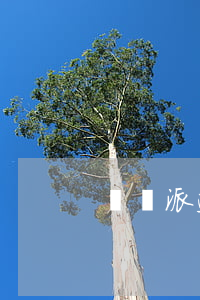 勞務派遣合作協(xié)議書