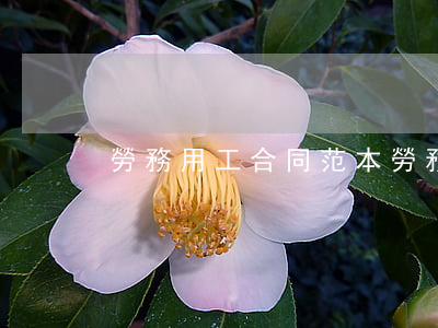 勞務用工合同范本(勞務用工合同范本文字版) 勞務用工合同范本(勞務用工合同范本文字版)