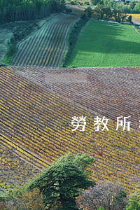 勞教所和看守所有什么不同