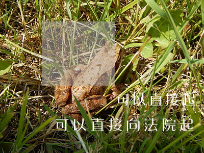勞資糾紛可以直接起訴法院嗎(勞動爭議案件可以直接向法院起訴嗎)