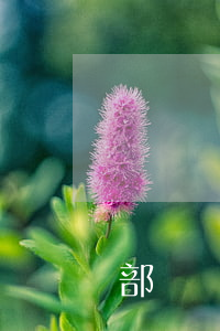 勞資糾紛找哪個部門解決(勞資糾紛咨詢哪個部門)