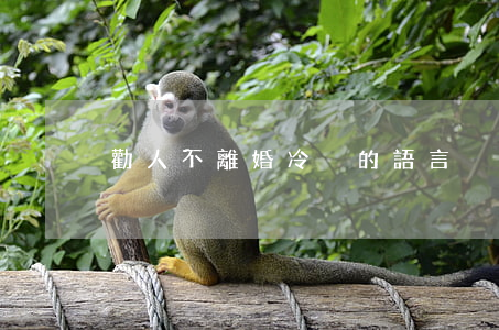 勸人不離婚冷靜的語言