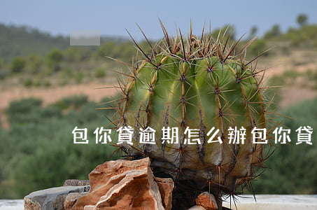 包你貸逾期怎么辦(包你貸怎么樣)