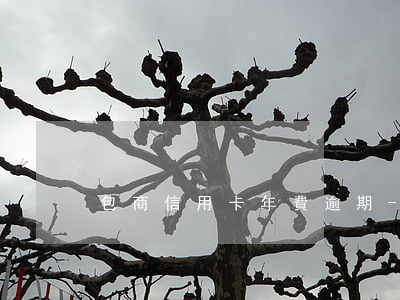 包商信用卡年費逾期-包商信用卡年費逾期