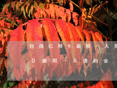 包商信用卡逾期一天多少錢(信用卡20000逾期一天違約金)