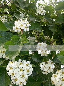 包商信用卡逾期已還清被凍結(jié)了-包商信用卡逾期已還清被凍結(jié)了怎么辦