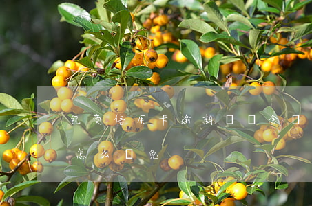 包商信用卡逾期滯納金減免(欠信用卡滯納金怎么減免)