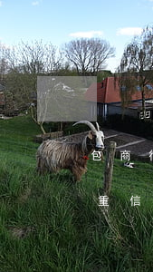 包商行信用卡逾期-包商銀行嚴(yán)重信用風(fēng)險(xiǎn)事件