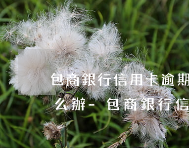 包商銀行信用卡逾期了現(xiàn)在怎么辦-包商銀行信用卡逾期了現(xiàn)在怎么辦呢