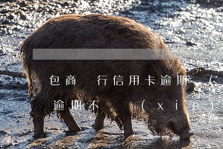 包商銀行信用卡逾期協(xié)商(信用卡逾期不給協(xié)商)
