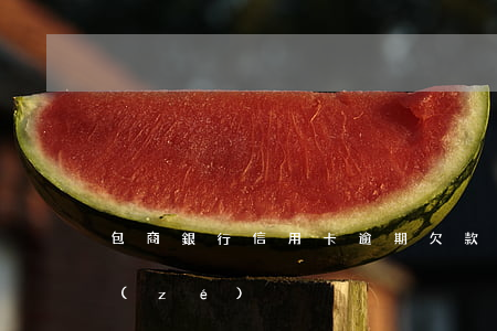 包商銀行信用卡逾期欠款案件(包商銀行追責(zé))