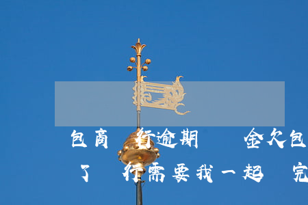包商銀行逾期滯納金(欠包商銀行十幾萬逾期了銀行需要我一起還完)