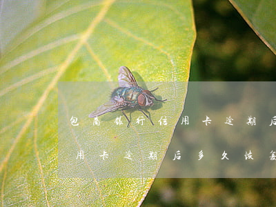 包商银行信用卡逾期后多久恢复(包商银行信用卡逾期后多久恢复)