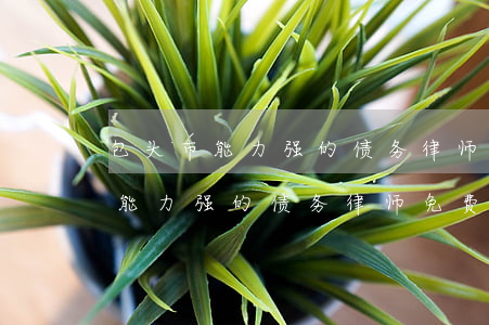 包头市能力强的债务律师免费咨询-包头市能力强的债务律师免费咨询电话