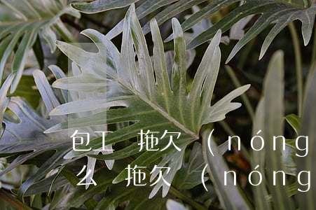 包工頭拖欠農(nóng)民工工資欠條怎么寫(拖欠農(nóng)民工工資有欠條怎么辦)