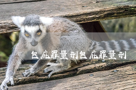 包庇罪量刑(包庇罪量刑標準是什么)
