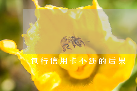 包行信用卡不还的后果
