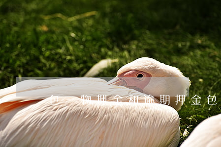 包裝物押金和逾期押金(包裝物押金 逾期)