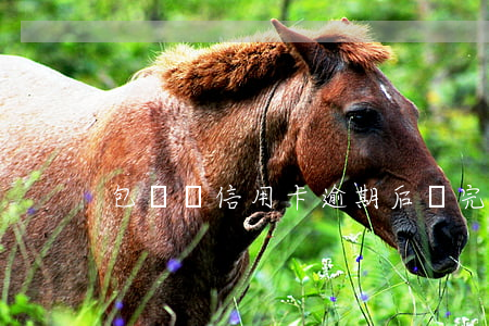 包裝辦信用卡逾期后還完