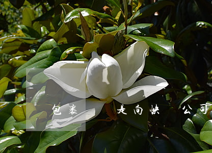 包裹損壞是向快遞公司追償嗎