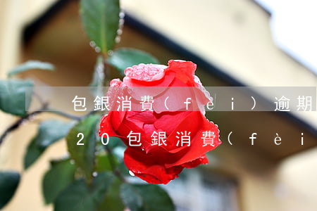 包銀消費(fèi)逾期多久會被起訴(2020包銀消費(fèi)逾期)