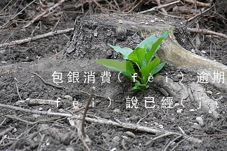 包銀消費(fèi)逾期起訴了(包銀消費(fèi)說已經(jīng)申請(qǐng)開庭了是真的嘛)