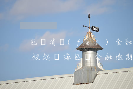 包銀消費(fèi)金融不還會(huì)被起訴嘛（包銀金融逾期多久起訴）