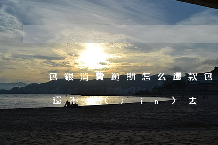 包銀消費逾期怎么還款(包銀消費金融還款日還不進(jìn)去)