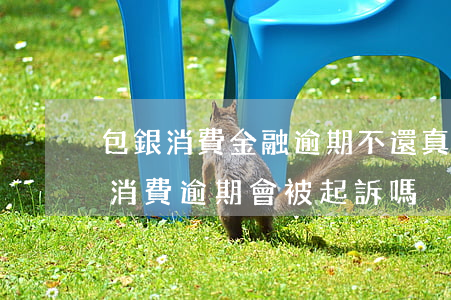 包銀消費金融逾期不還真的會被起訴嗎（包銀消費逾期會被起訴嗎）