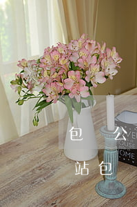 包頭公司債務(wù)律師網(wǎng)站(包頭律師事務(wù)所咨詢)