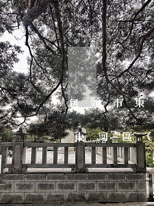 包頭市東河區(qū)辦離婚星期幾(包頭市東河區(qū)民政局離婚登記)
