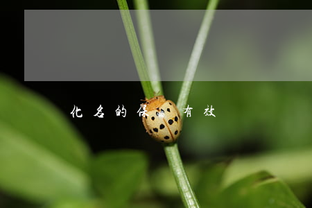 化名的保單有效嗎
