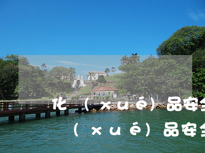 化學(xué)品安全標(biāo)簽(化學(xué)品安全標(biāo)簽)