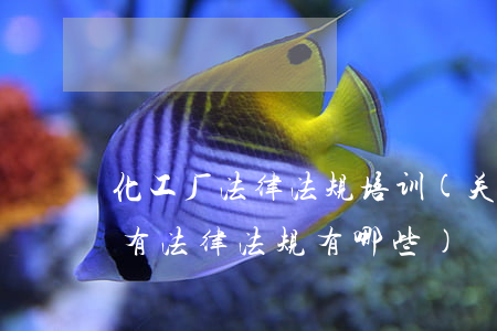 化工厂法律法规培训(关于化工厂相关的所有法律法规有哪些)