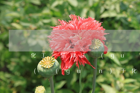 化工廠法律法規(guī)培訓(xùn)(關(guān)于化工廠相關(guān)的所有法律法規(guī)有哪些)