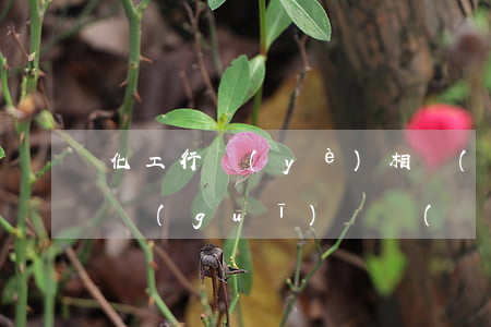 化工行業(yè)相關(guān)法律法規(guī)試題(關(guān)于化工廠相關(guān)的所有法律法規(guī)有哪些)