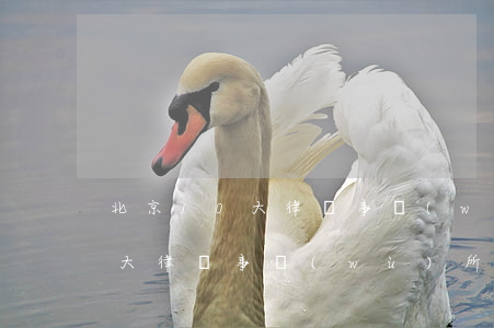 北京10大律師事務(wù)所 兩高(北京十大律師事務(wù)所)